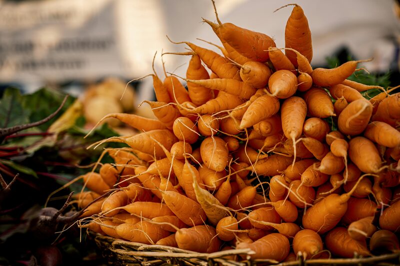Fresh Carrots